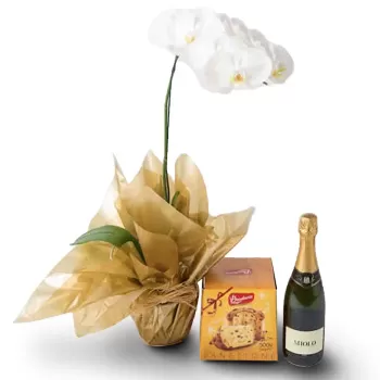 Salvador Blumen Florist- Spezielles Geschenk Bouquet/Blumenschmuck