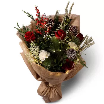 flores Dhoby Ghaut floristeria -  flor de navidad Ramos de  con entrega a domicilio