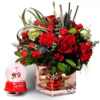 סלטר הילס פרחים- מתנה מוזיקלית לחג המולד פרח משלוח