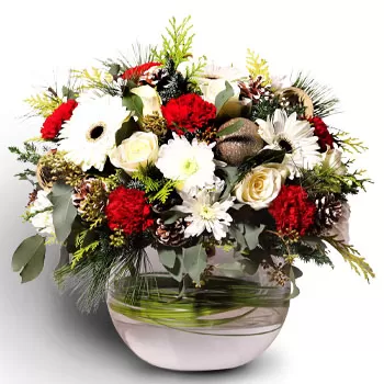 קלמנטי ווסט פרחים- סיר פרחוני ארומטי פרח משלוח