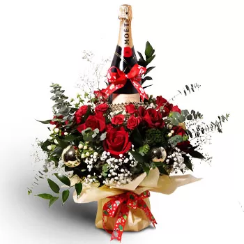 بائع زهور بولاو سيليتار- لعيد الميلاد هدية غير متوقعة زهرة التسليم