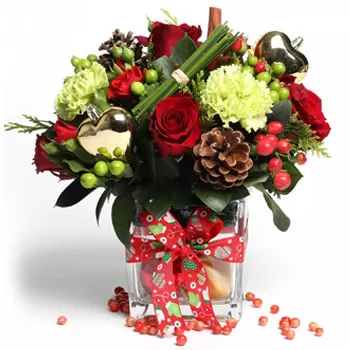 세랑군 노스 인더 에스테이트 꽃- 메리 꽃 냄비 꽃 배달