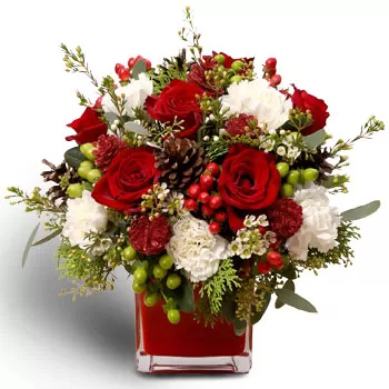 بائع زهور بيداداري- الترتيبات العرقية زهرة التسليم