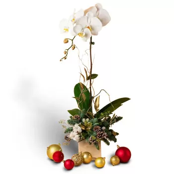 מיי צ'ין פרחים- קישוטים נהדרים פרח משלוח