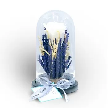 Abu Dhalouf květiny- Modrá planeta Květ Dodávka