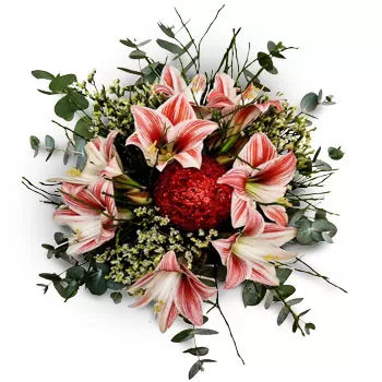 אנדוויל פרחים- אווירת חג המולד פרח משלוח