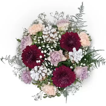 Bozberg kwiaty- Lśniące Boże Narodzenie Kwiat Dostawy