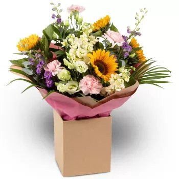 Akrotiri cvijeća- Radosne čarolije Cvijet Isporuke