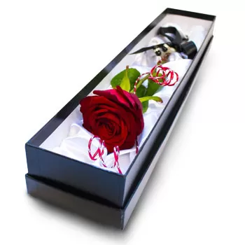 Ахайкон цветя- Прекрасна роза Цвете Доставка