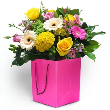 알리판타 꽃- 핑크 장난기 꽃 배달