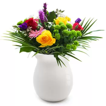 flores de Akropotamia- Flores mais lindas Flor Entrega