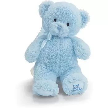 Madīnat Ḩamad bunga- Biru Teddy Bear  Penghantaran