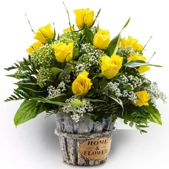Thessaloníki flowers - Sunny Brightness