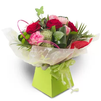 Achladion cvijeća- Tople želje Cvijet Isporuke