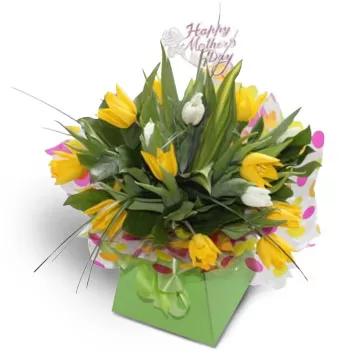 Akrini Blumen Florist- Ziemlich gelb Blumen Lieferung