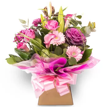 Аграс цветя- Подарък за Свети Валентин Цвете Доставка