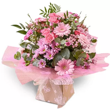 Agridion cvijeća- Latice slatke Cvijet Isporuke