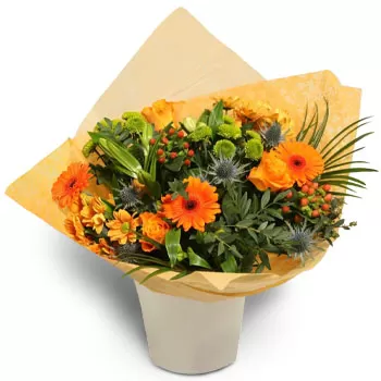 بائع زهور ايرودروميو- للمناسبات المبهجة زهرة التسليم