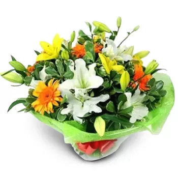 Achaikon-virágok- Virágok villanása Virág Szállítás