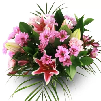بائع زهور ألوبرونيا- باقة عصرية زهرة التسليم