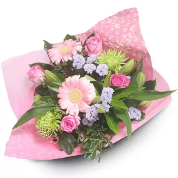 Aetokoryfi-virágok- Nyugtató virágzás Virág Szállítás