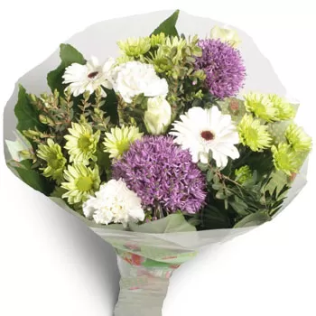 Agioi Theodoroi cvijeća- Glatkoća Cvijet Isporuke