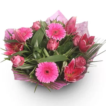 Agrosykea Blumen Florist- Heiße Rosa Blumen Lieferung