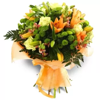 アギオカンポス【アギオカボス】 花- 優雅な花束 花 配信