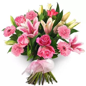 flores de Agios Arsenios- Conceito Rosa Flor Entrega