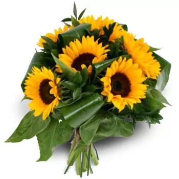 Agios Romanos-virágok- Sunny Shine Virág Szállítás