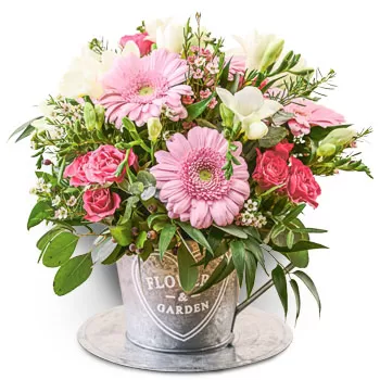Achladochorion-virágok- Álmodozó krémes Virág Szállítás