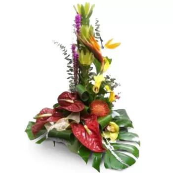 Agionorion Blumen Florist- Premium-Arrangement Blumen Lieferung