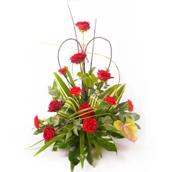 Aigina-virágok- Klasszikus és kedves Virág Szállítás