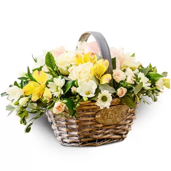 Alissos-virágok- Rokonszenv Virág Szállítás