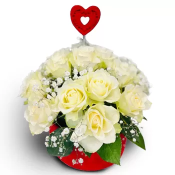 بائع زهور بلغراد- صندوق أبيض زهرة التسليم