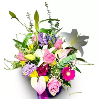 בלגרד פרחים- סמל לטוהר פרח משלוח