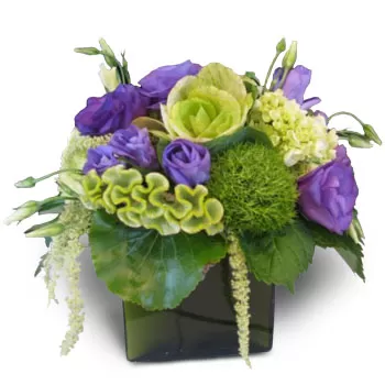بائع زهور اليكاناس- الترتيبات المثالية زهرة التسليم