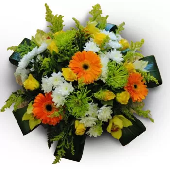알페이우사 꽃- 매혹적인 꽃 꽃 배달