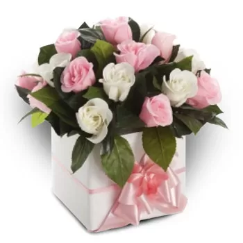 بائع زهور أجيوس سوستيس- بتلات الجنية زهرة التسليم