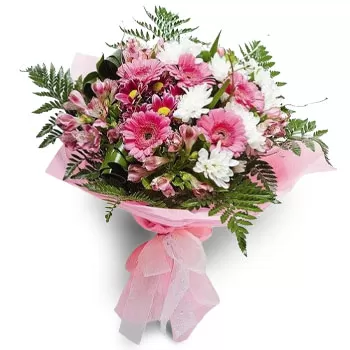 아기오스 포카스 꽃- 상쾌한 꽃 꽃 배달