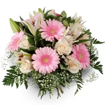 Agridion cvijeća- Jednostavno i jasno Cvijet Isporuke