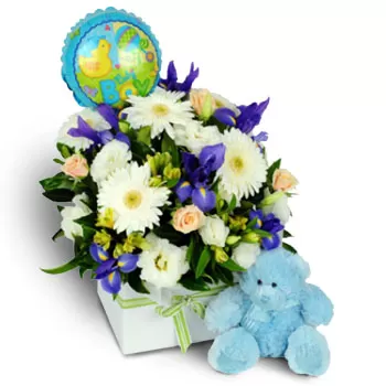 Agios Arsenios cvijeća- Pozitivne namjere Cvijet Isporuke