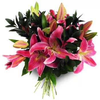 بائع زهور ألوناكيا- تاثير الزهور زهرة التسليم