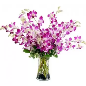 Ban Khwao kwiaty- Devine wybór Kwiat Dostawy