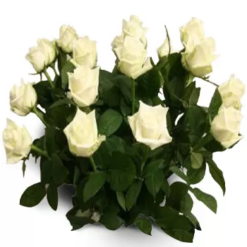 Aliartos-virágok- Antik rózsák Virág Szállítás