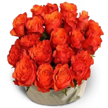 Alalkomenai-virágok- Fancy Orange Virág Szállítás