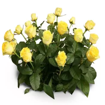 flores de Agios Dimitrios- amor paternal Flor Entrega