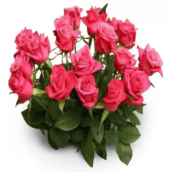 بائع زهور ألوبرونيا- موهوب الله زهرة التسليم