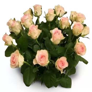 Agiovlasitika blomster- Rosa rosenkrans Blomst Levering