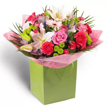 Agia Sotira-virágok- Szivárvány Virág Szállítás